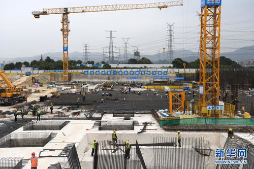 湾区潮涌千帆竞 写在 深化粤港澳合作 推进大湾区建设框架协议 签署4周年前夕