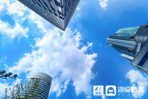 市排球协会换届大会在淄博十中举行