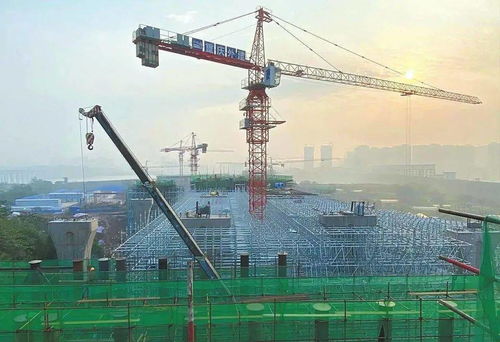 将军路大桥 西河南路 南充这些建设工程最新进度来了