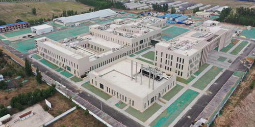 天蓬工程 收尾 世界首个大型实验猪设施能做什么