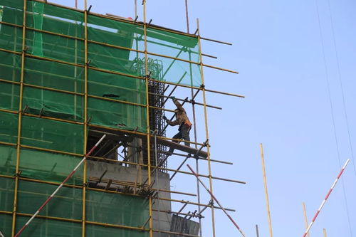 嘉泽 阳光天地丨辛苦了,建筑工人们 内附最新工程进度