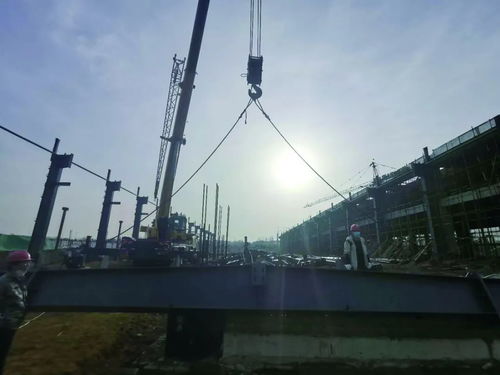 威海机场停机坪扩建工程正式复工 计划年内建成并投入使用