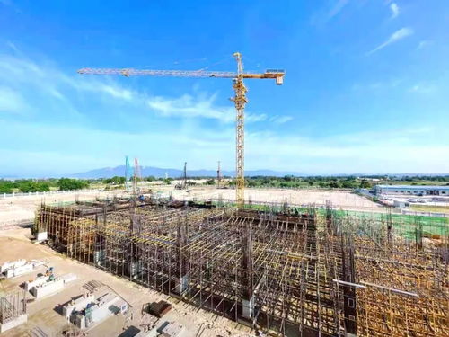 青海建设工程服务网 互联网+工程建设驱动产业转型升级